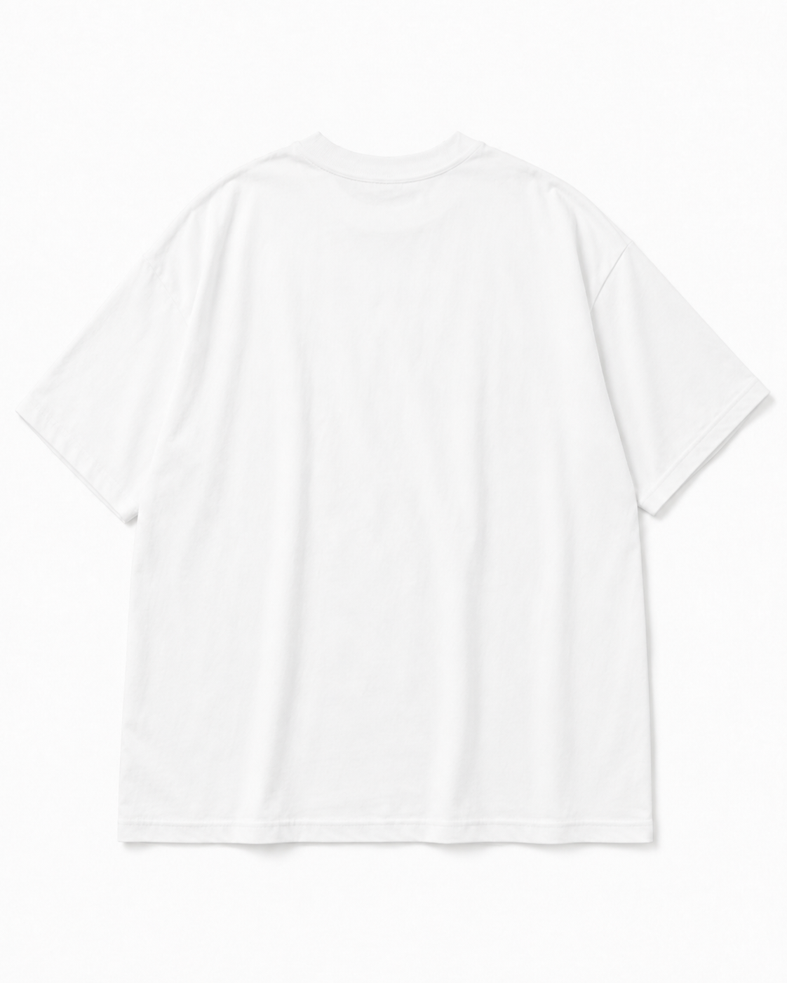 PawTees — The Cat Carrier Tee